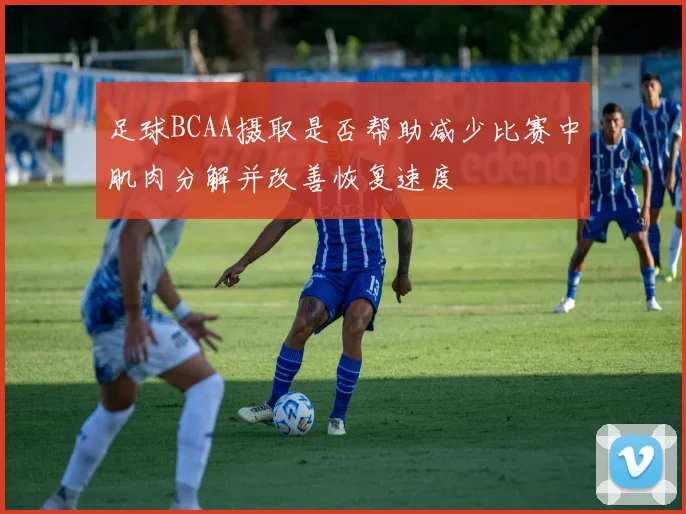 足球BCAA摄取是否帮助减少比赛中肌肉分解并改善恢复速度
