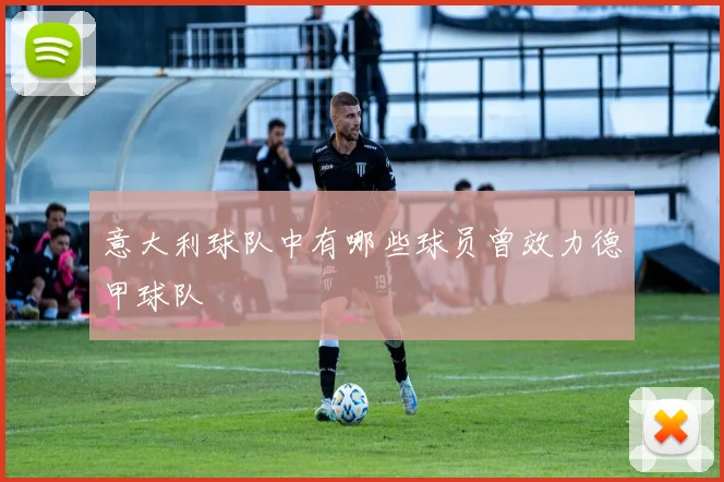 意大利球队中有哪些球员曾效力德甲球队