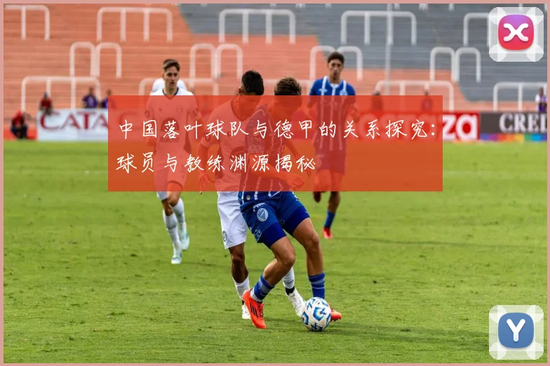 中国落叶球队与德甲的关系探究：球员与教练渊源揭秘