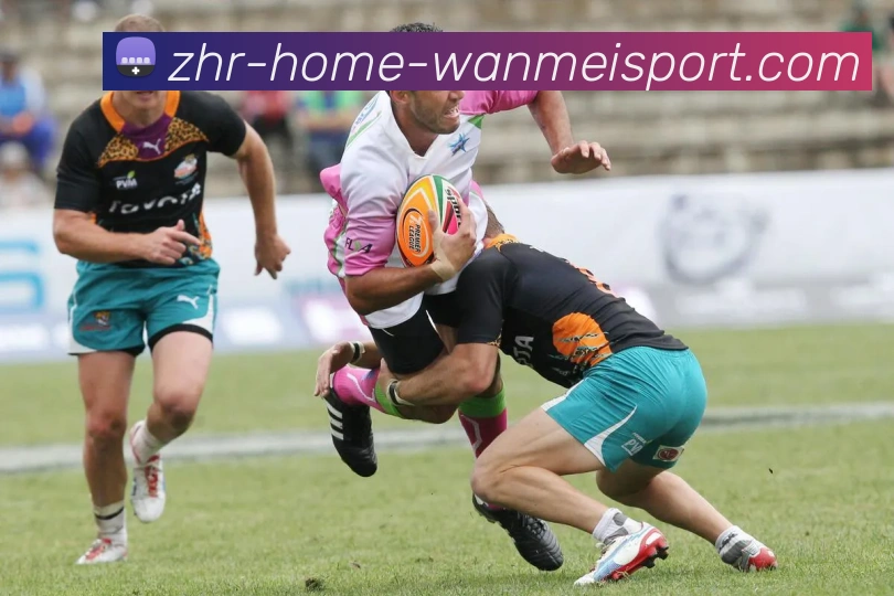 多媒体互动体验