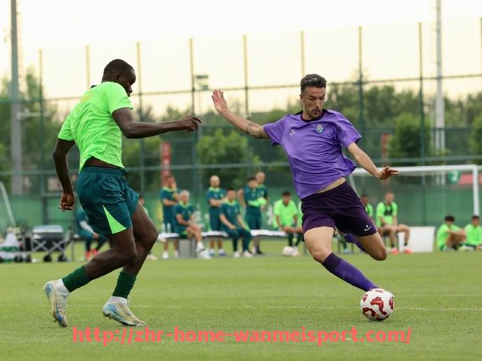 完美体育官方网站-意甲联赛有哪些球队及其历史与现状介绍